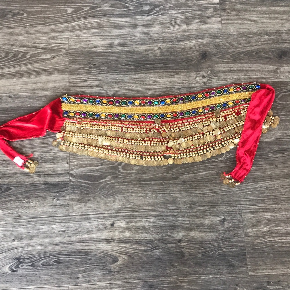 Belly dancing skirt